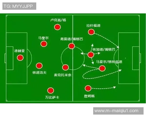 深圳篮球队防守体系解析与战术运用探讨