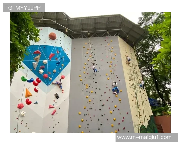 杭州攀岩队状态深度解析与其他体育项目的对比分析