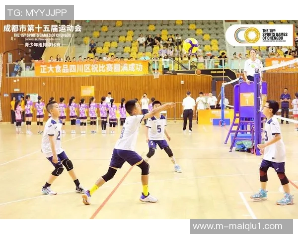 体育实时数据成都排球队速度引发热议球迷对比赛表现和战术选择展开激烈讨论